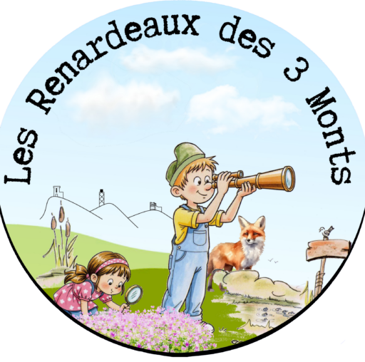 Les Renardeaux Des 3 Monts